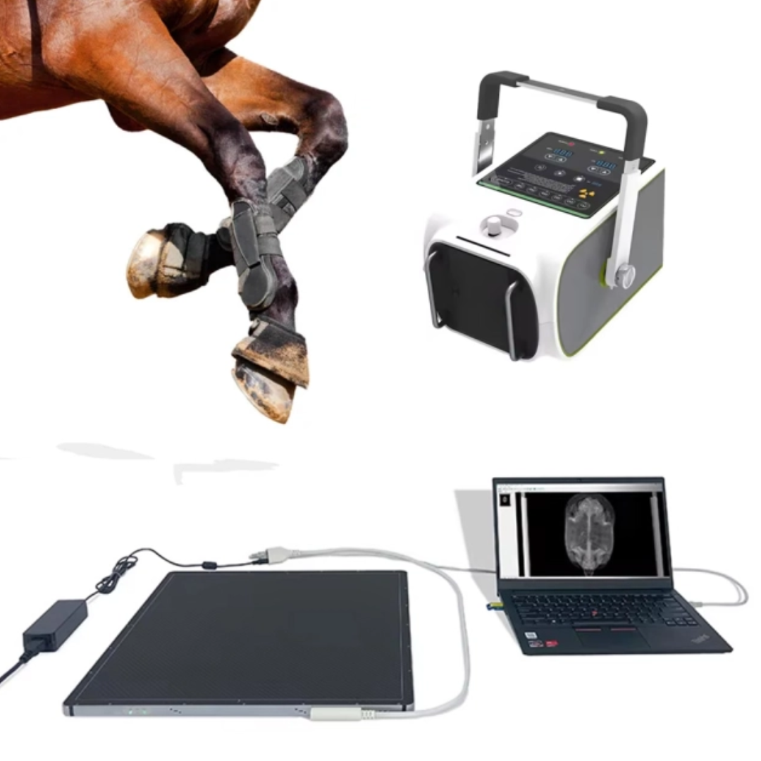 Animals Products 1.6KW Veterinery X Ray Machine Digital Imager