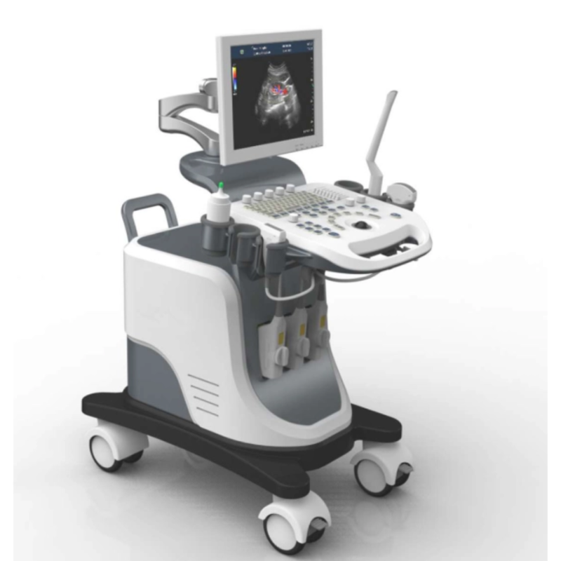 FTL UTS2600 High end Medical Cardiovascular Ultrasound 4D Trolley Color Doppler Ultrasound System