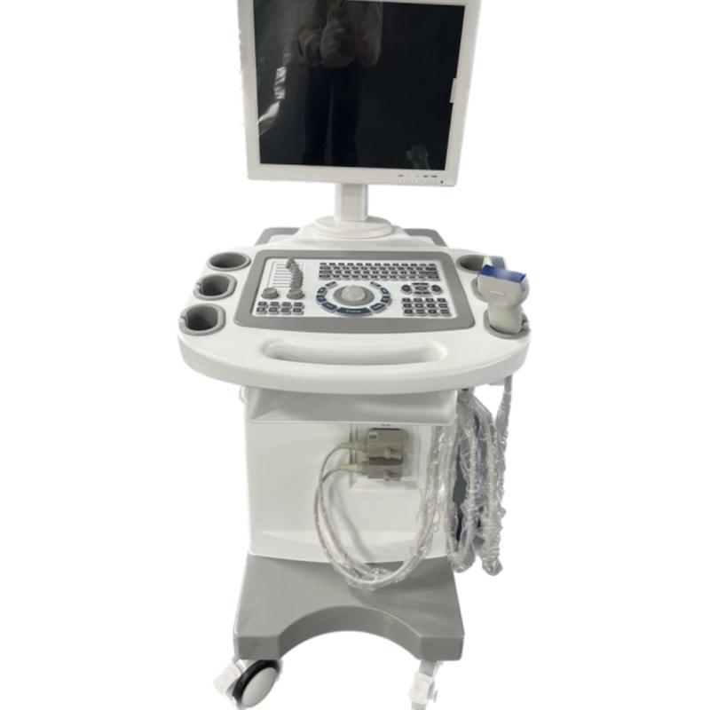 FTL UTS80 Trolley BW Ultrasound Cheap Full Digital Diagnostic price 15 HD display