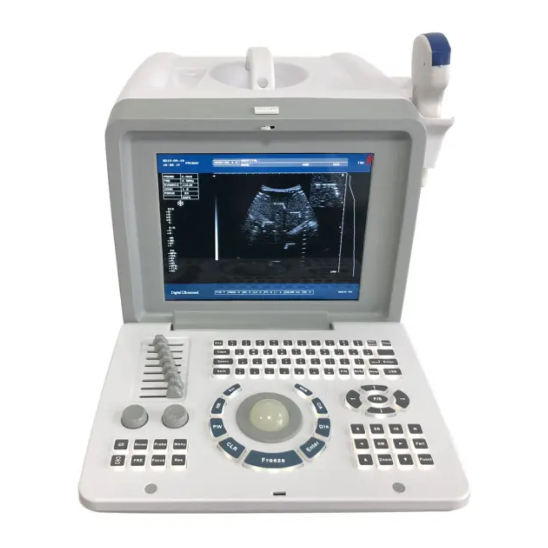 Portable BW Ultrasound Machine FTL S218
